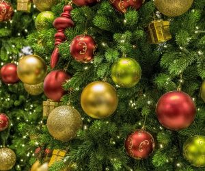 christmas-g70fd5e9d1_1920